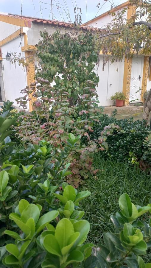 Casa Dos Gansos Villa Perais Buitenkant foto